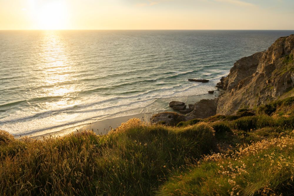 coastal cliff with wild flowers