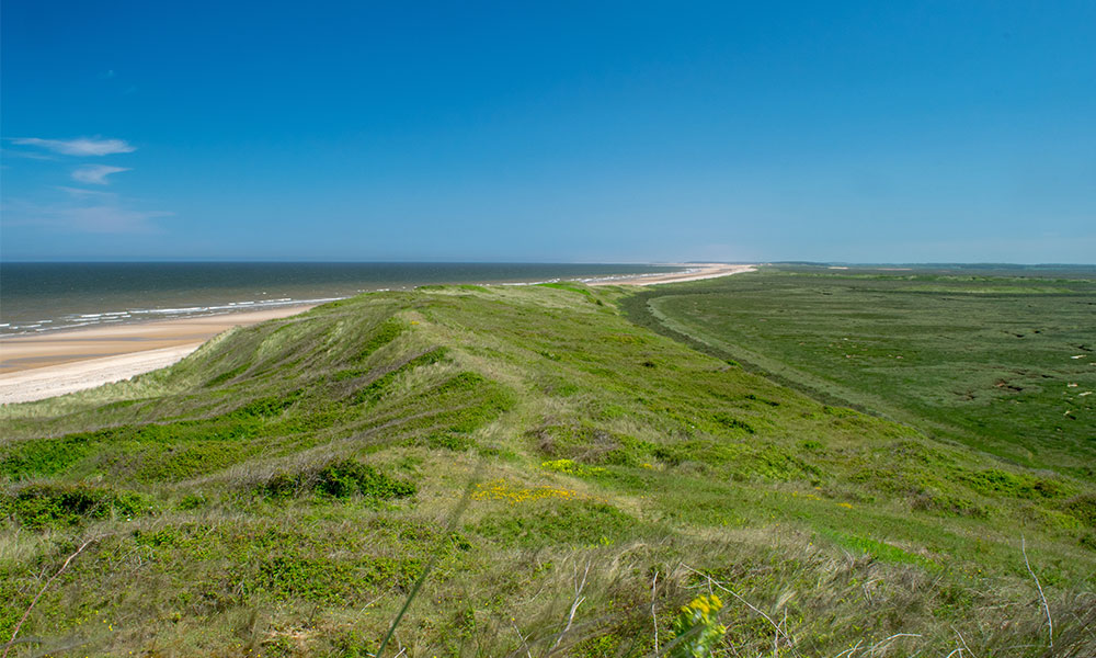 Scolt Head, Norfolk