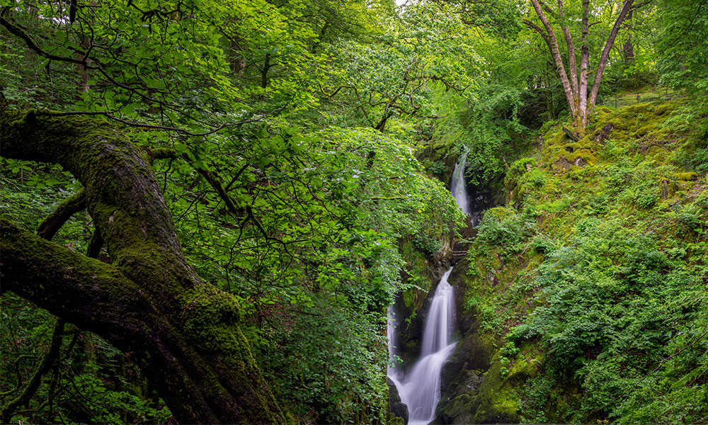 Stockghyll Force walk