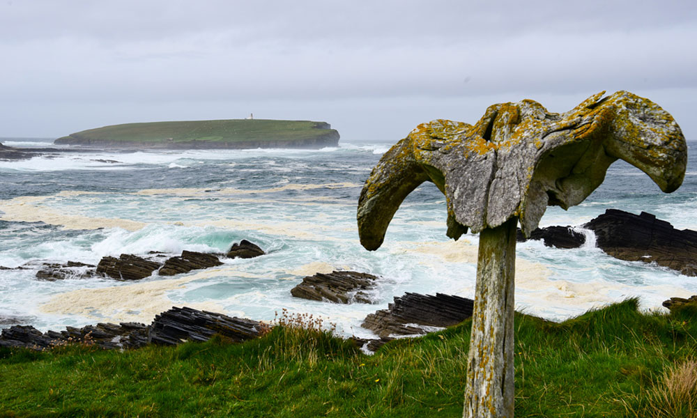 The story of the Birsay Whalebone