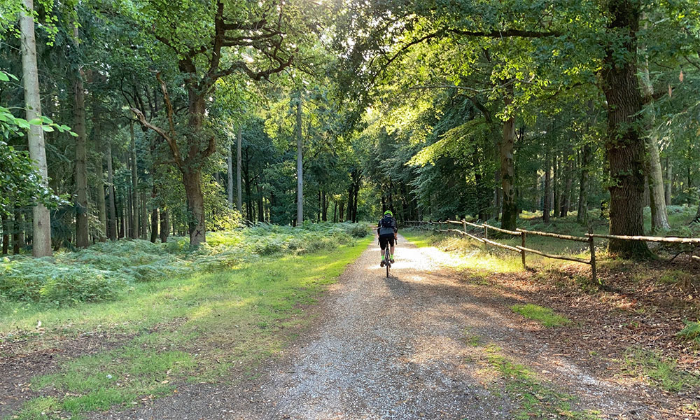 Gravel riding new forest 
