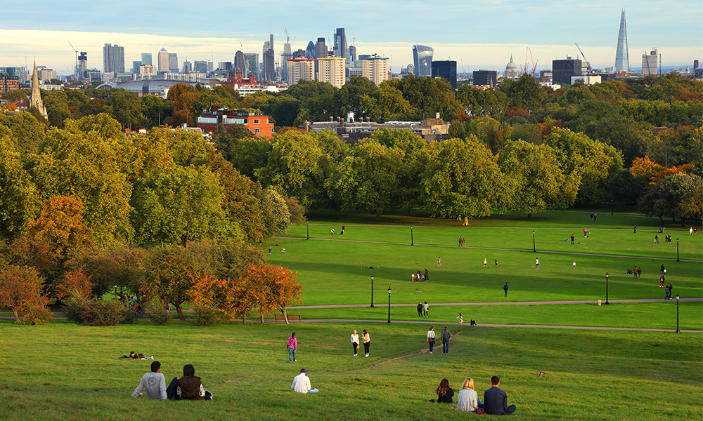 Looking over the London skyline from Primrose Hill 