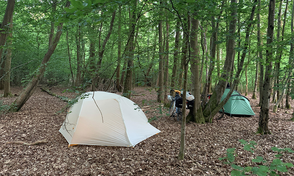 wild camping forest image