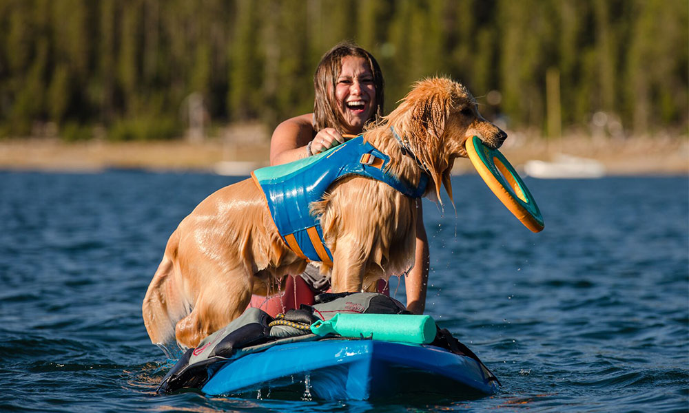 dog friendly paddle boarding