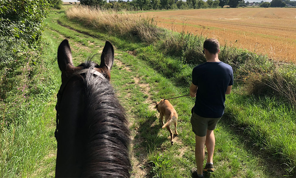 family horse riding walks
