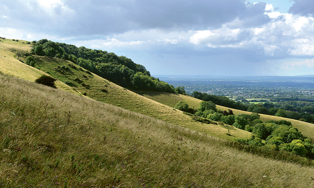 Ditchling Beacon, South Downs