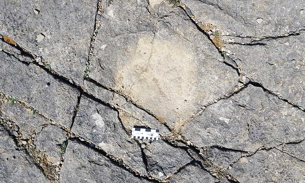 Spyway Footprints, Dorset