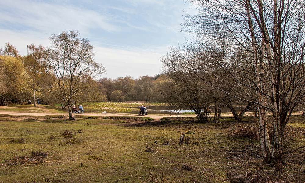 Sutton Park, West Midlands 