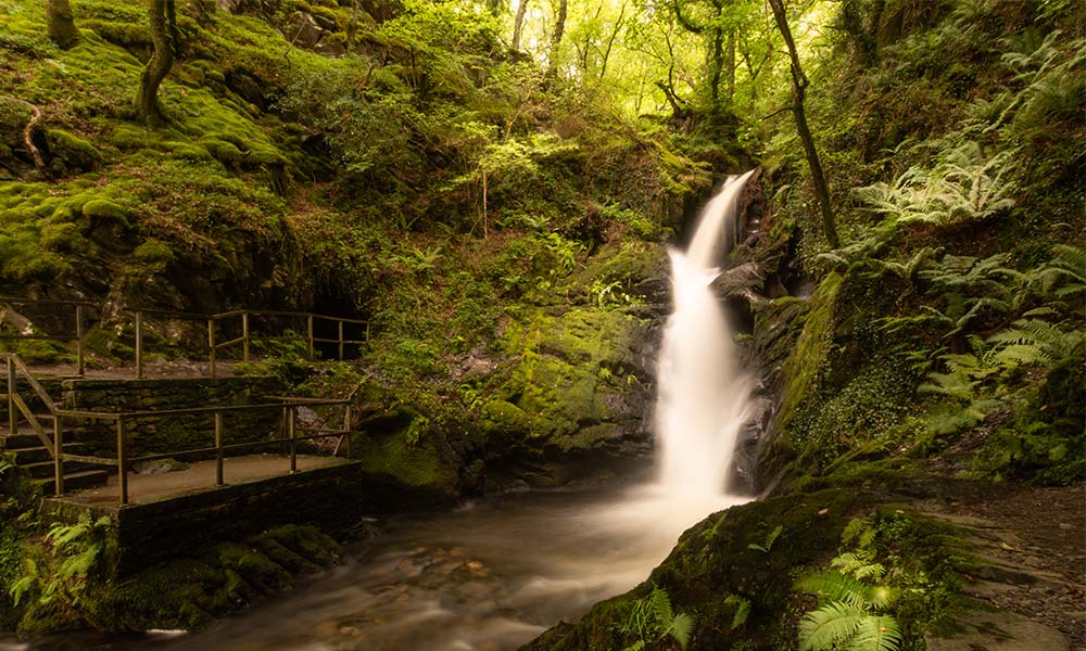 Dolgoch Falls, Gwynedd