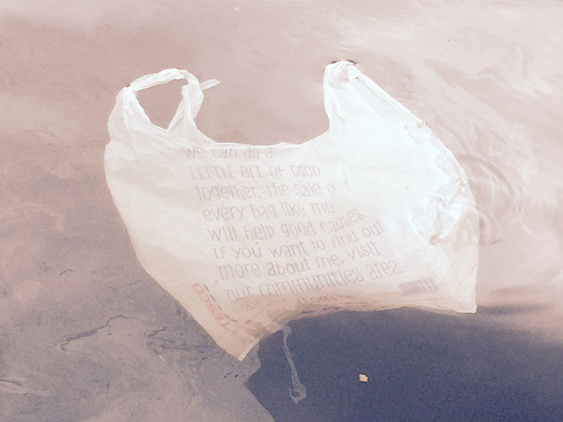 Plastic bag polluting water