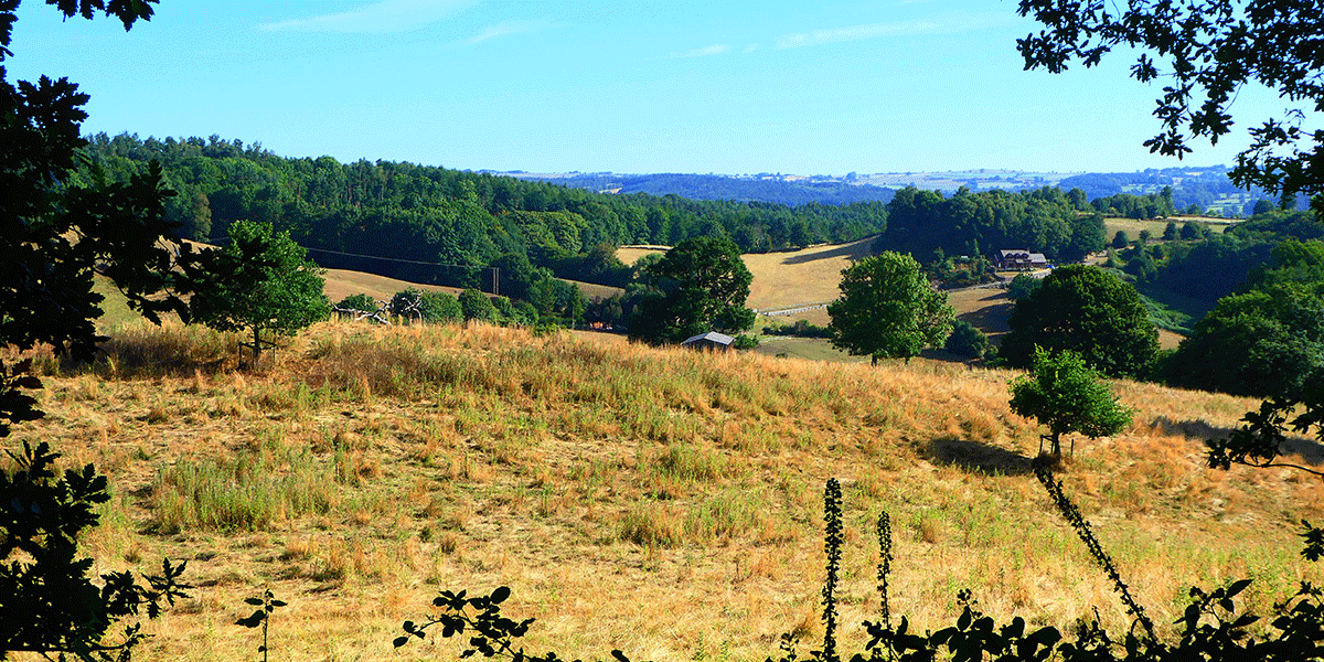 Dimmingdale View