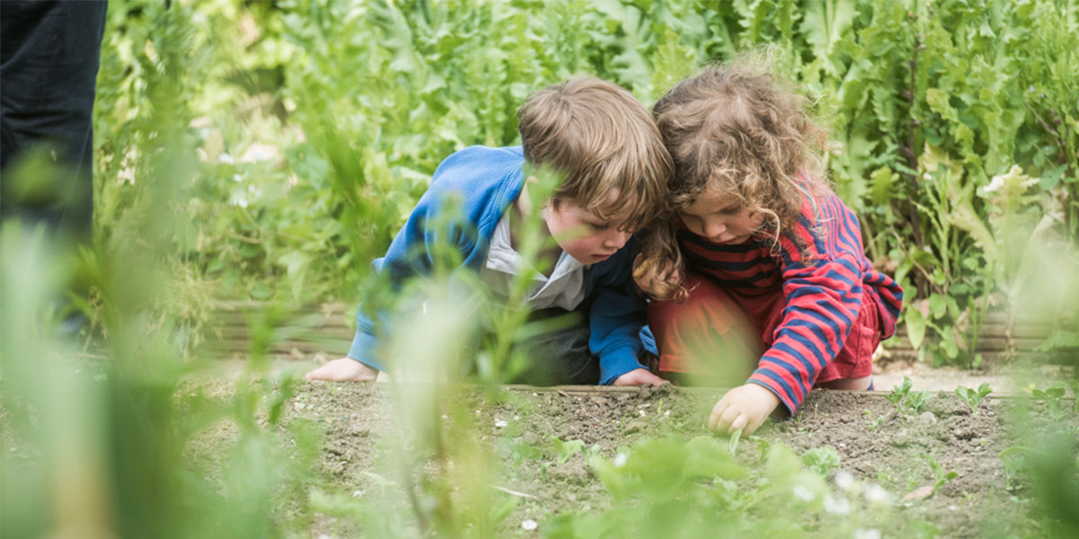 Learning outdoors with the meek family