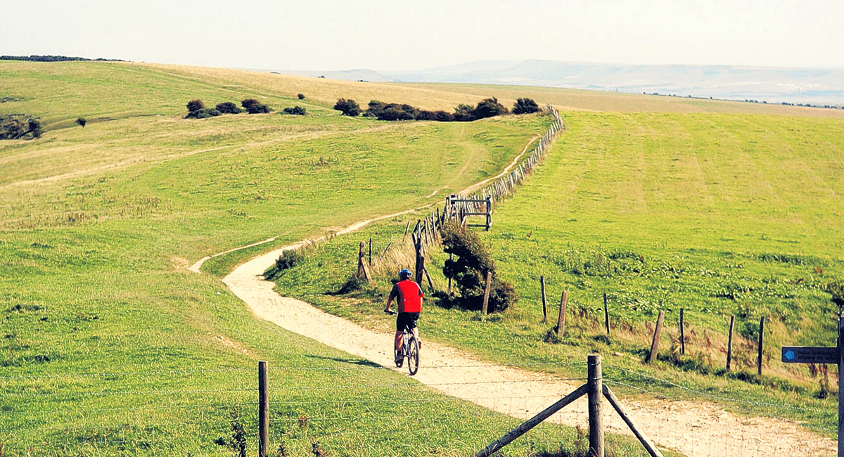 mtb south downs